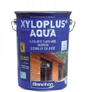 בלנשון לזור אקולוגי