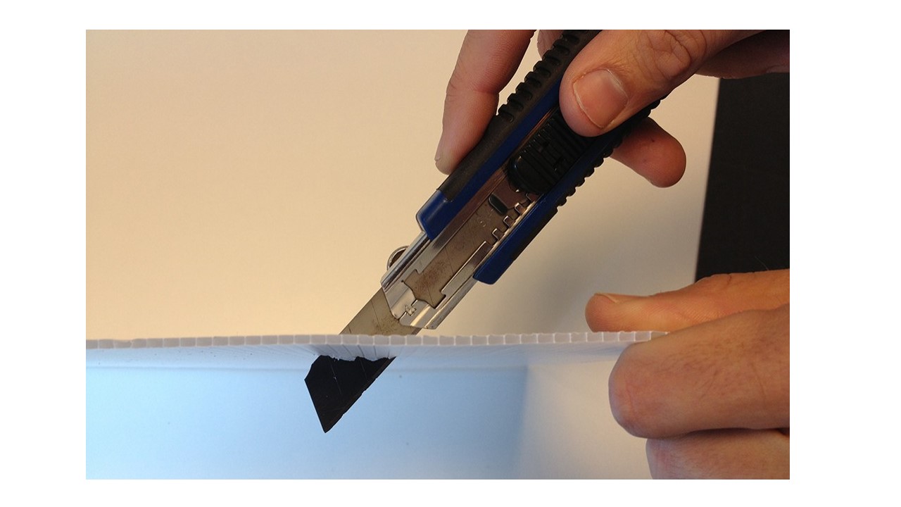 פוליגל לאתר 3